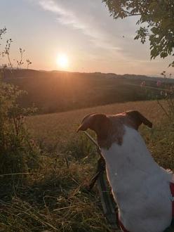 Clicca sull'immagine per ingrandirla.   Nome:   0_IMG_20230603_202553.jpg  Visite: 0  Dimensione: 31.5 KB  ID: 2390719