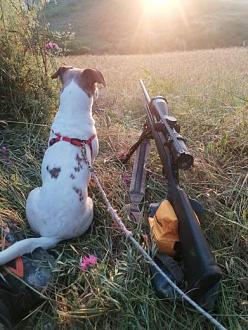 Clicca sull'immagine per ingrandirla.&nbsp;

Nome:   0_IMG_20230603_202911.jpg&nbsp;
Visite: 319&nbsp;
Dimensione: 47.2 KB&nbsp;
ID: 2390720