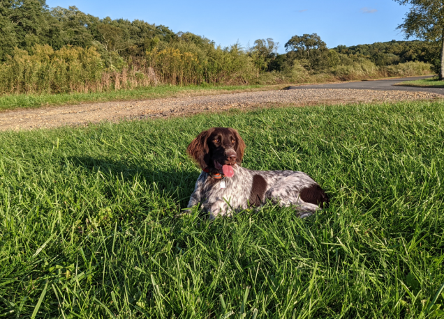 Clicca sull'immagine per ingrandirla.   Nome:   image.png  Visite: 0  Dimensione: 755.3 KB  ID: 2392661