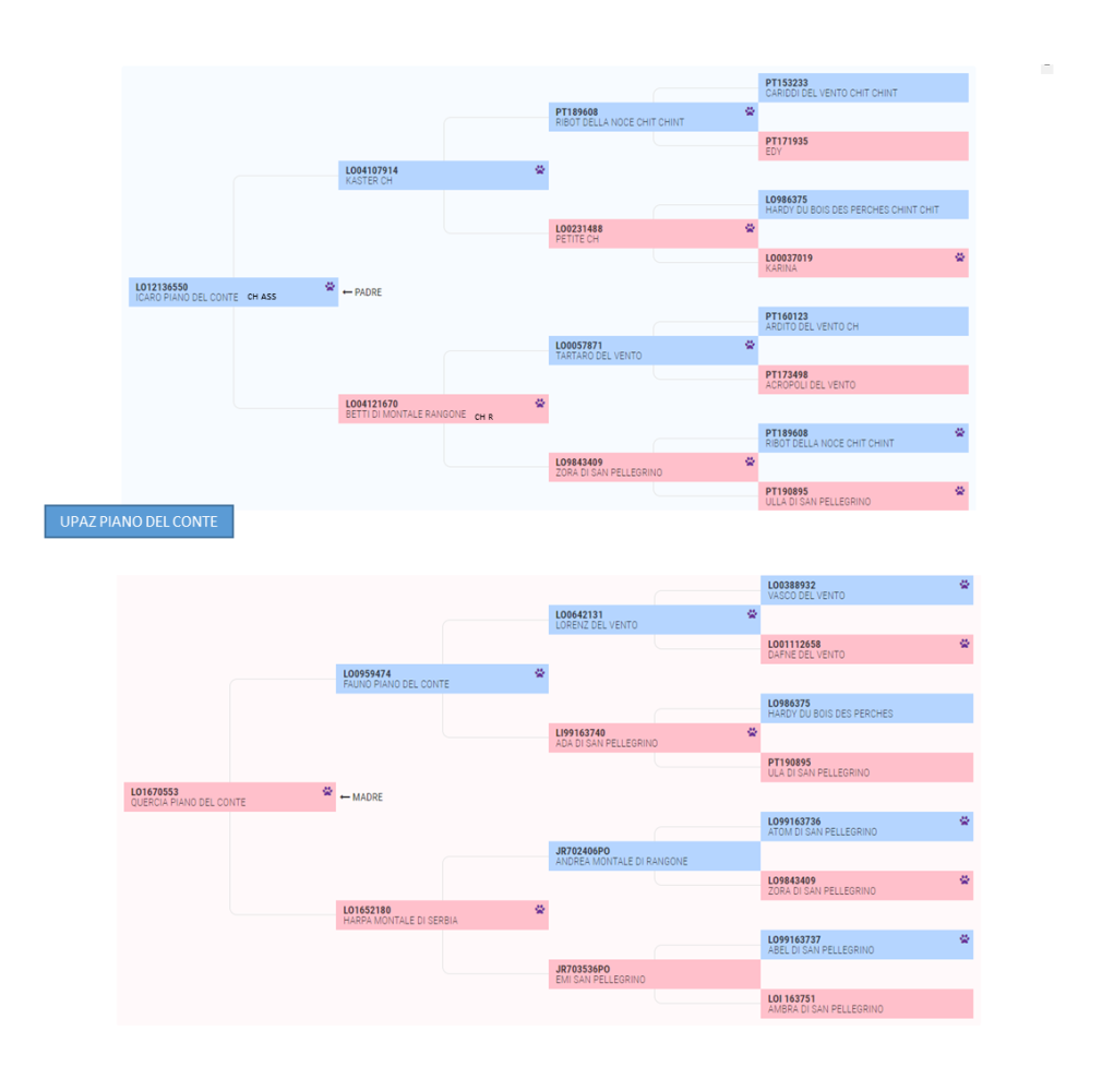 Clicca sull'immagine per ingrandirla. 

Nome:   image.png 
Visite: 351 
Dimensione: 143.4 KB 
ID: 2397023