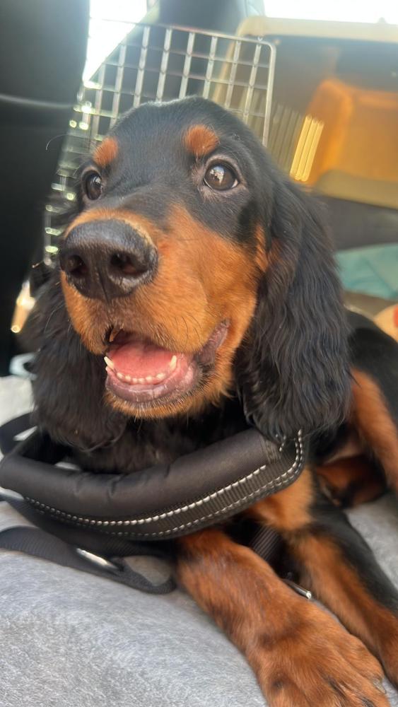 Clicca sull'immagine per ingrandirla.&nbsp;

Nome:   WhatsApp Image 2023-09-09 at 14.10.32.jpg&nbsp;
Visite: 889&nbsp;
Dimensione: 70.4 KB&nbsp;
ID: 2398999