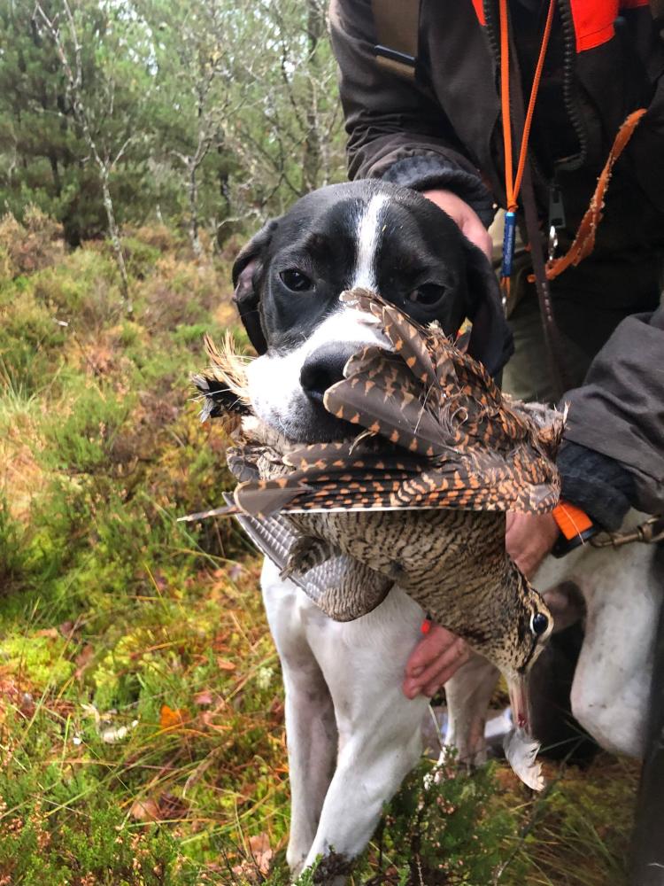 Clicca sull'immagine per ingrandirla. 

Nome:   IMG-20231120-WA0012.jpg 
Visite: 300 
Dimensione: 140.9 KB 
ID: 2406495