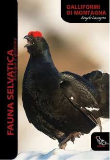 Clicca sull'immagine per ingrandirla. 

Nome:   Immagine 2024-02-02 095228.png 
Visite: 380 
Dimensione: 297.3 KB 
ID: 2411940
