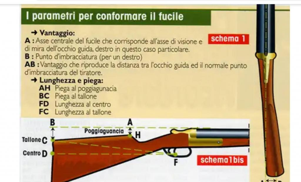 Clicca sull'immagine per ingrandirla. 

Nome:   immagine.png 
Visite: 1178 
Dimensione: 572.8 KB 
ID: 2413070
