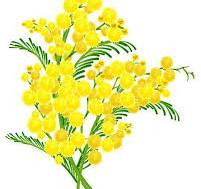 Clicca sull'immagine per ingrandirla. 

Nome:   immagine.png 
Visite: 68 
Dimensione: 60.7 KB 
ID: 2416583