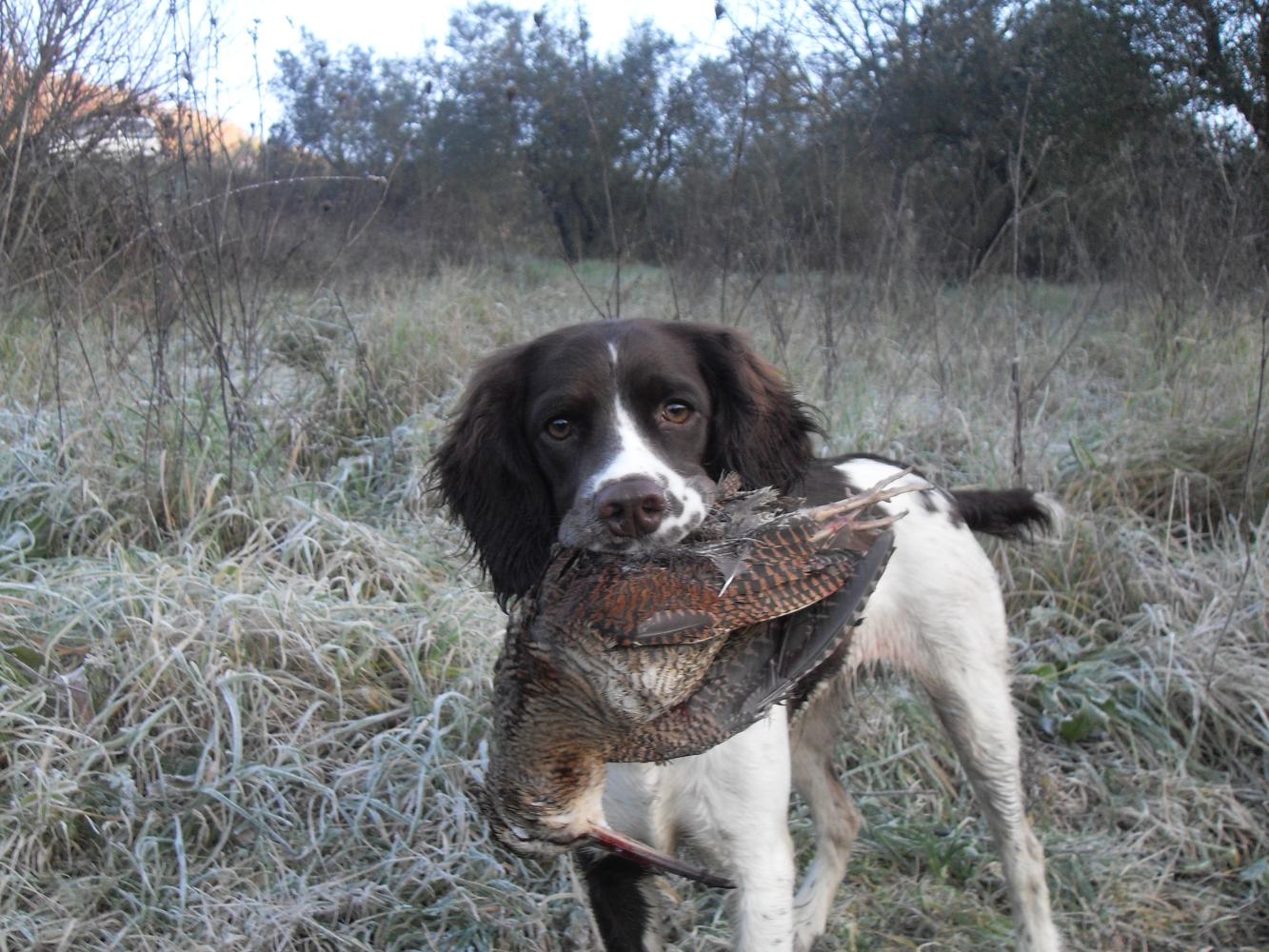 Clicca sull'immagine per ingrandirla.&nbsp;

Nome:   SDC10803.jpg&nbsp;
Visite: 225&nbsp;
Dimensione: 211.3 KB&nbsp;
ID: 2422985