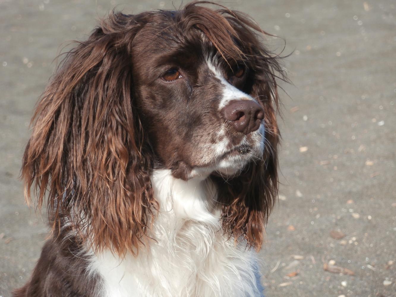 Clicca sull'immagine per ingrandirla.&nbsp;

Nome:   P6230053.jpg&nbsp;
Visite: 217&nbsp;
Dimensione: 161.3 KB&nbsp;
ID: 2422986