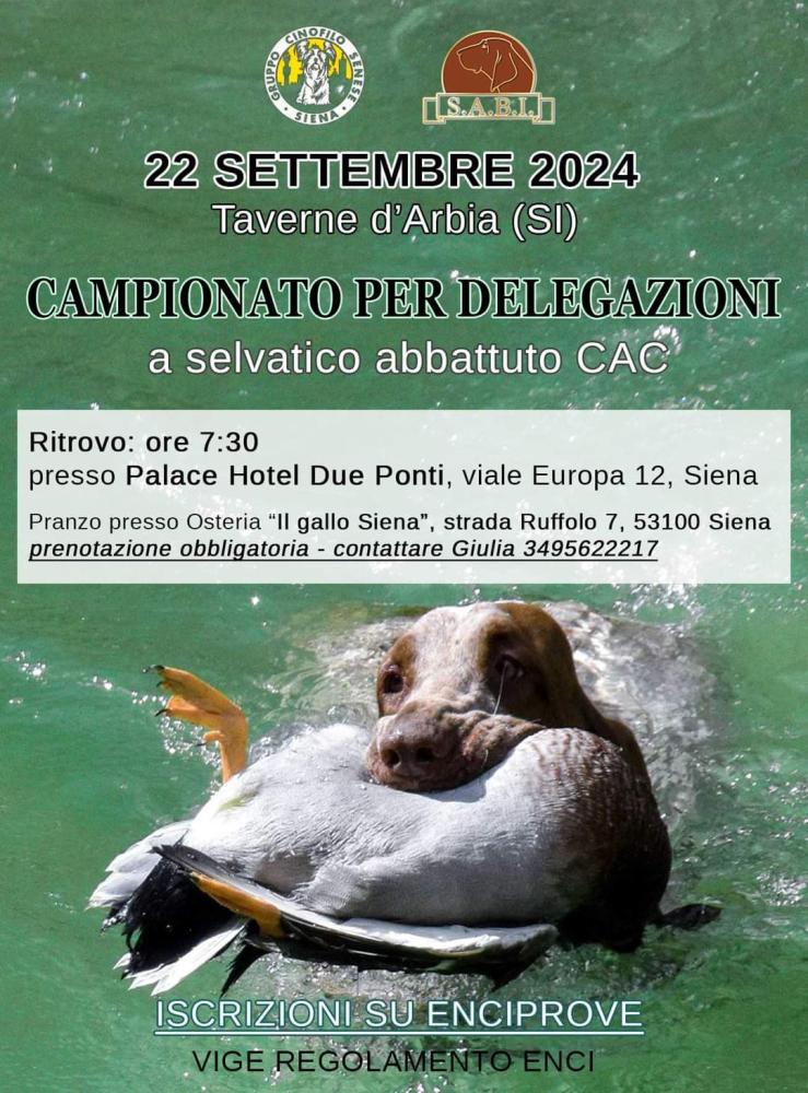 Clicca sull'immagine per ingrandirla.   Nome:   FB_IMG_1726225602040.jpg  Visite: 4  Dimensione: 137.3 KB  ID: 2431631