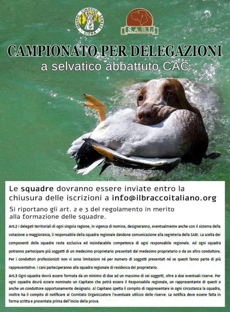 Clicca sull'immagine per ingrandirla.   Nome:   FB_IMG_1726225972015.jpg  Visite: 4  Dimensione: 146.4 KB  ID: 2431629