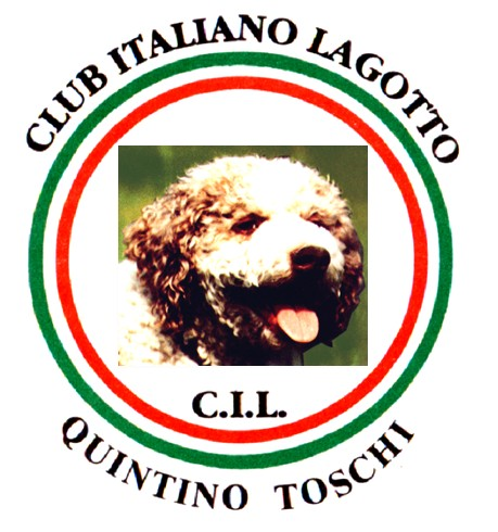 Clicca sull'immagine per ingrandirla. 

Nome:   image.png 
Visite: 49 
Dimensione: 291.2 KB 
ID: 2433039