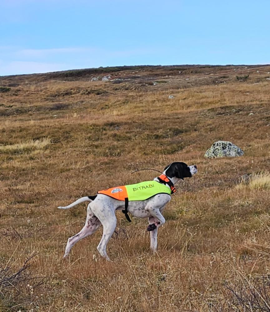 Clicca sull'immagine per ingrandirla.&nbsp;

Nome:   image_103152.jpg&nbsp;
Visite: 276&nbsp;
Dimensione: 227.8 KB&nbsp;
ID: 2433371