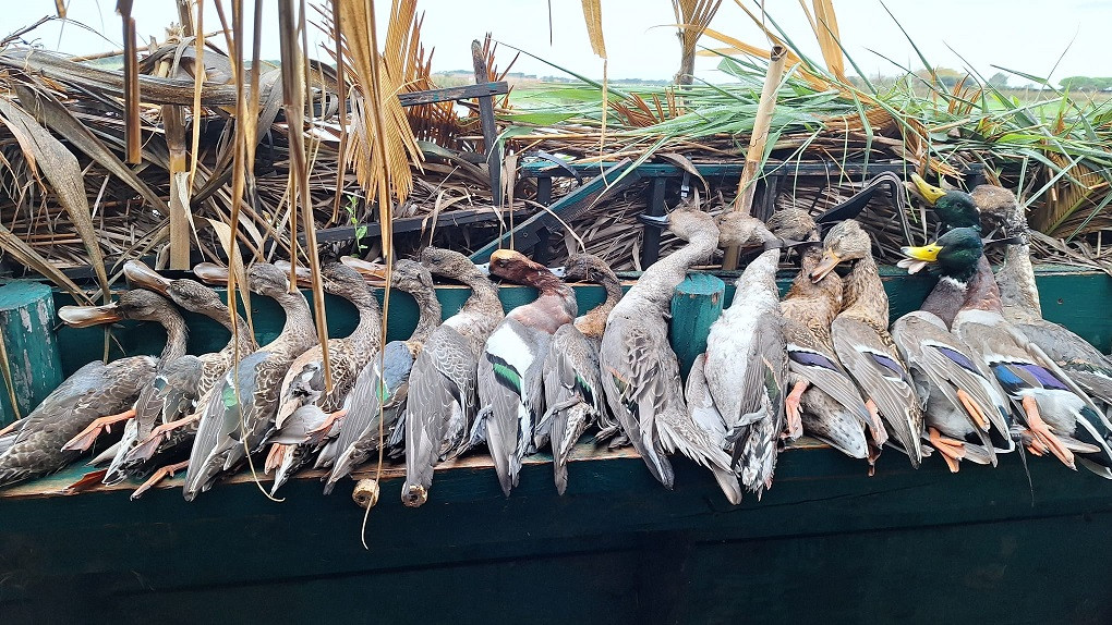 Clicca sull'immagine per ingrandirla.&nbsp;

Nome:   19 ottobre.jpg&nbsp;
Visite: 1161&nbsp;
Dimensione: 313.1 KB&nbsp;
ID: 2434291