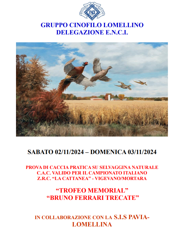 Clicca sull'immagine per ingrandirla.   Nome:   vigevano 1.png  Visite: 0  Dimensione: 425.5 KB  ID: 2434558