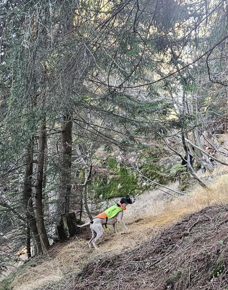 Clicca sull'immagine per ingrandirla.&nbsp;

Nome:   20241031_093614.jpg&nbsp;
Visite: 587&nbsp;
Dimensione: 268.6 KB&nbsp;
ID: 2434909