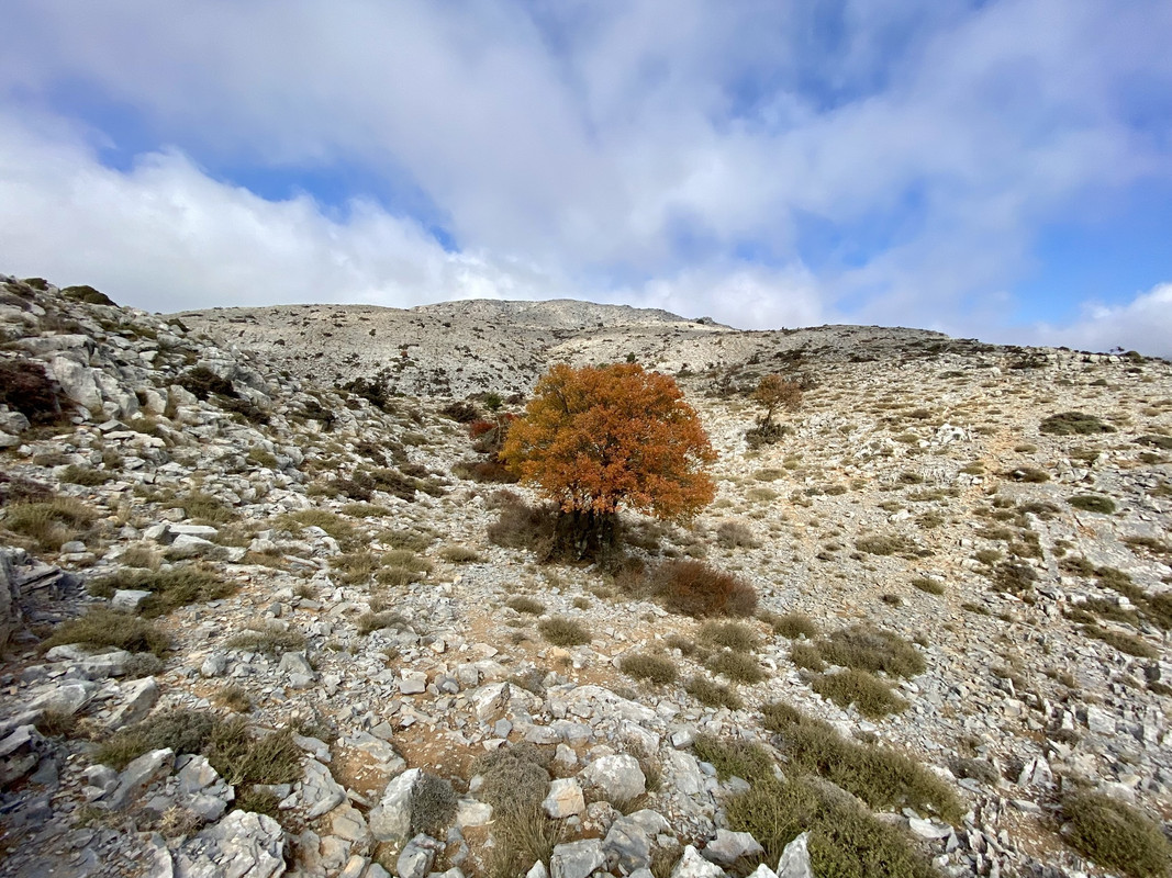 Clicca sull'immagine per ingrandirla. 

Nome:   IMG-2771.jpg 
Visite: 649 
Dimensione: 371.9 KB 
ID: 2434989