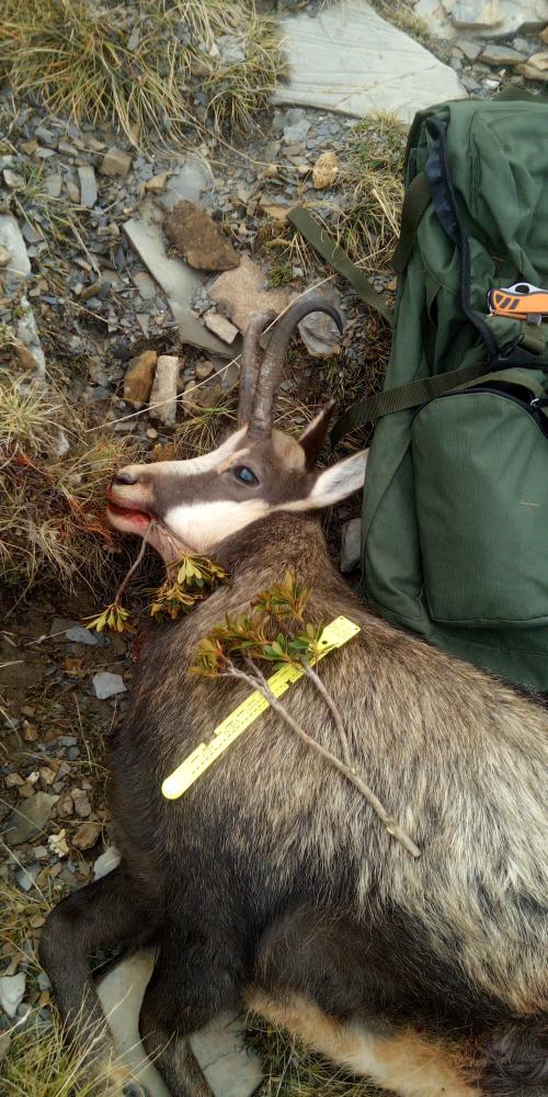 Clicca sull'immagine per ingrandirla. 

Nome:   Immagine WhatsApp 2024-11-07 ore 13.07.37_19df75f0.jpg 
Visite: 442 
Dimensione: 119.6 KB 
ID: 2435227