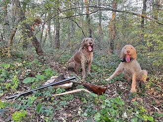 Clicca sull'immagine per ingrandirla. 

Nome:   IMG_0379.jpg 
Visite: 944 
Dimensione: 489.1 KB 
ID: 2435334