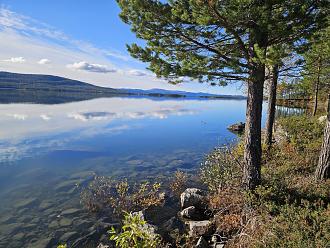 Clicca sull'immagine per ingrandirla. 

Nome:   20240922_135104.jpg 
Visite: 574 
Dimensione: 331.1 KB 
ID: 2435775