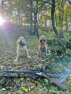 Clicca sull'immagine per ingrandirla.&nbsp;

Nome:   IMG_0563.jpg&nbsp;
Visite: 1104&nbsp;
Dimensione: 232.2 KB&nbsp;
ID: 2436319