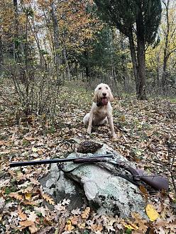 Clicca sull'immagine per ingrandirla.&nbsp;

Nome:   IMG_0634.jpg&nbsp;
Visite: 919&nbsp;
Dimensione: 299.4 KB&nbsp;
ID: 2436764