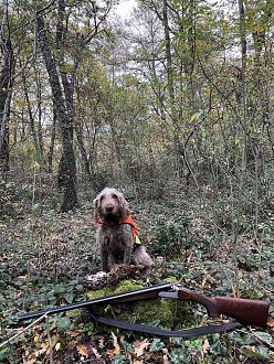 Clicca sull'immagine per ingrandirla.&nbsp;

Nome:   IMG_0630.jpg&nbsp;
Visite: 880&nbsp;
Dimensione: 306.3 KB&nbsp;
ID: 2436765