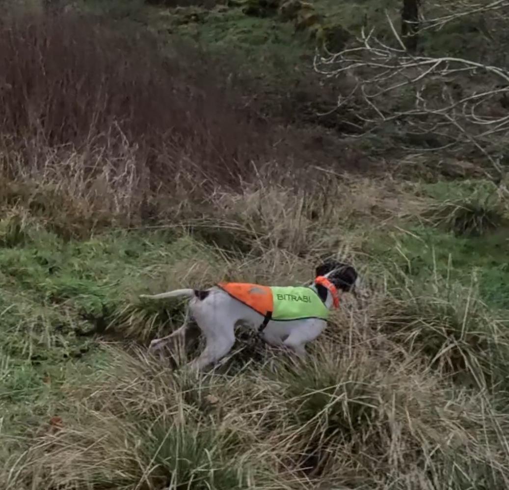 Clicca sull'immagine per ingrandirla.   Nome:   gpMediaMetadata_1732981672059.jpg  Visite: 0  Dimensione: 132.2 KB  ID: 2436947