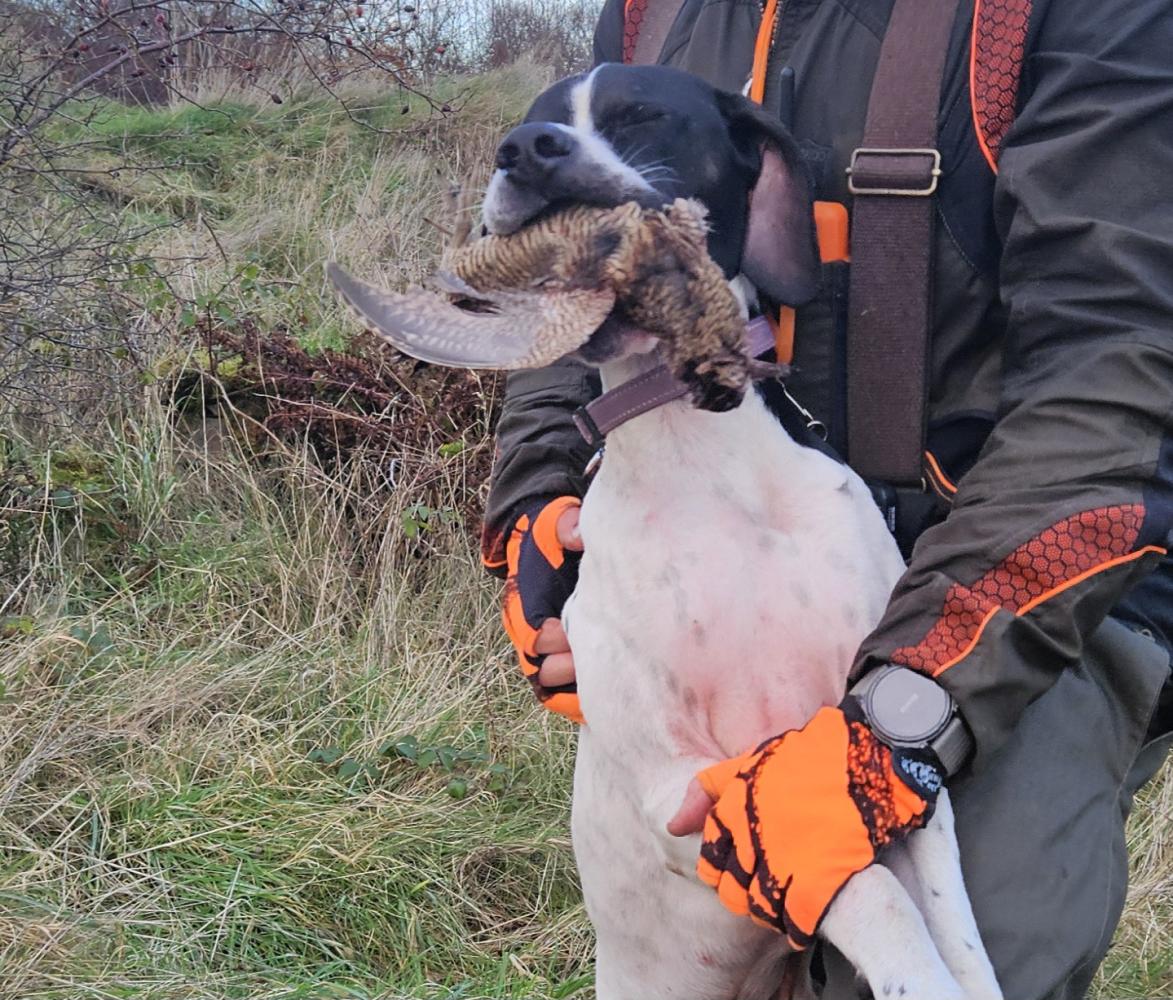 Clicca sull'immagine per ingrandirla.   Nome:   20241127_151704.jpg  Visite: 0  Dimensione: 227.0 KB  ID: 2436948