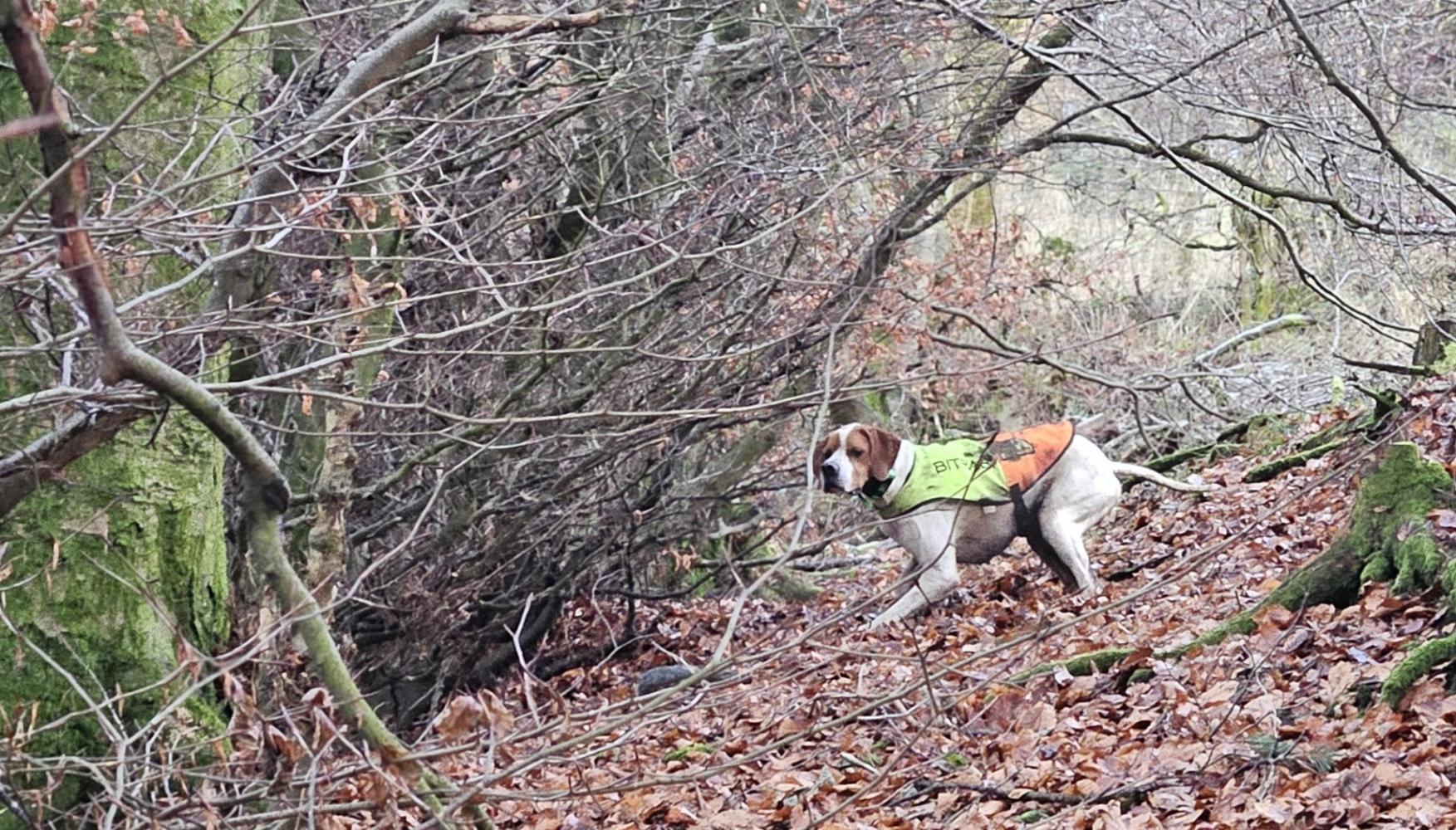 Clicca sull'immagine per ingrandirla.   Nome:   20241128_151829.jpg  Visite: 0  Dimensione: 401.7 KB  ID: 2436949