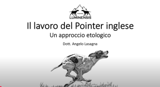 Clicca sull'immagine per ingrandirla. 

Nome:   Immagine 2025-02-03 083903.png 
Visite: 919 
Dimensione: 223.9 KB 
ID: 2440969