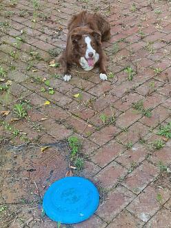 Clicca sull'immagine per ingrandirla. 

Nome:   20250501_175009.jpg 
Visite: 209 
Dimensione: 192.1 KB 
ID: 2445542