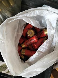 Clicca sull'immagine per ingrandirla.&nbsp;

Nome:   IMG20250716161418.jpg&nbsp;
Visite: 466&nbsp;
Dimensione: 75.9 KB&nbsp;
ID: 2448666