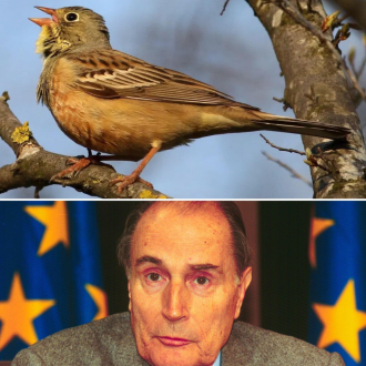 Clicca sull'immagine per ingrandirla. 

Nome:   image.png 
Visite: 0 
Dimensione: 1.49 MB 
ID: 2453319