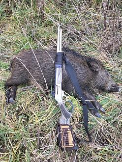 Clicca sull'immagine per ingrandirla. 

Nome:   IMG20251212132634.jpg 
Visite: 0 
Dimensione: 314.4 KB 
ID: 2455729