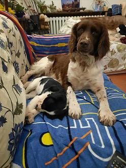 Clicca sull'immagine per ingrandirla.&nbsp;

Nome:   20251213_194454.jpg&nbsp;
Visite: 0&nbsp;
Dimensione: 121.1 KB&nbsp;
ID: 2456098