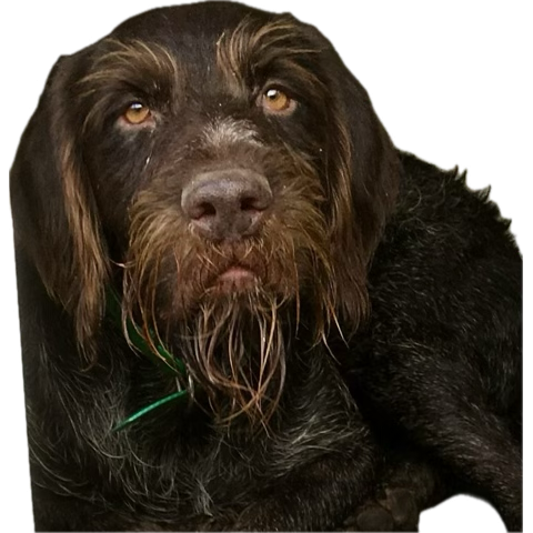 Clicca sull'immagine per ingrandirla.&nbsp;

Nome:   image.png&nbsp;
Visite: 0&nbsp;
Dimensione: 284.0 KB&nbsp;
ID: 2456910