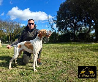 Clicca sull'immagine per ingrandirla.&nbsp;

Nome:   WhatsApp Image 2026-02-22 at 15.38.53.jpg&nbsp;
Visite: 783&nbsp;
Dimensione: 263.0 KB&nbsp;
ID: 2459529