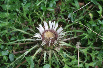 Clicca sull'immagine per ingrandirla.&nbsp;

Nome:   image.png&nbsp;
Visite: 238&nbsp;
Dimensione: 1.11 MB&nbsp;
ID: 2463651