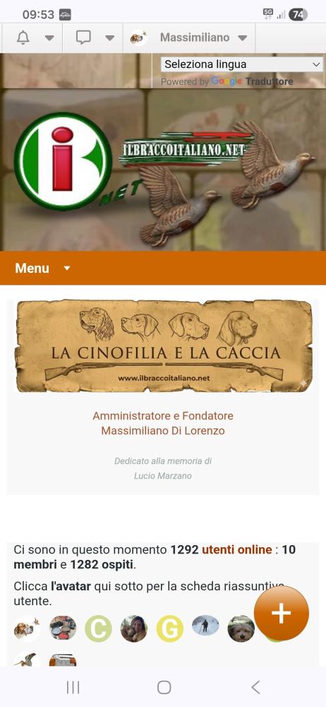 Clicca sull'immagine per ingrandirla.   Nome:   Screenshot_20260602_095337_Chrome.jpg  Visite: 18  Dimensione: 58.2 KB  ID: 2464066