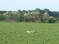 Clicca sull'immagine per ingrandirla. 

Nome:   RALF 5.jpg 
Visite: 388 
Dimensione: 53.5 KB 
ID: 2122181