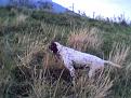Clicca sull'immagine per ingrandirla.&nbsp;

Nome:   Foto(21).jpg&nbsp;
Visite: 718&nbsp;
Dimensione: 43.9 KB&nbsp;
ID: 2122809