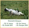 Clicca sull'immagine per ingrandirla.&nbsp;

Nome:   ginepro_point.jpg&nbsp;
Visite: 542&nbsp;
Dimensione: 40.7 KB&nbsp;
ID: 2122810