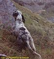 Clicca sull'immagine per ingrandirla.&nbsp;

Nome:   014_Gian.jpg&nbsp;
Visite: 535&nbsp;
Dimensione: 34.0 KB&nbsp;
ID: 2122823