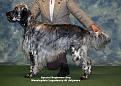 Clicca sull'immagine per ingrandirla.&nbsp;

Nome:   14.15-Special-Beginners-Dog.jpg&nbsp;
Visite: 487&nbsp;
Dimensione: 45.3 KB&nbsp;
ID: 2122826