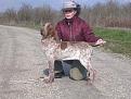 Clicca sull'immagine per ingrandirla. 

Nome:   Zora  &amp;amp; Bea.jpg 
Visite: 474 
Dimensione: 57.5 KB 
ID: 2122996