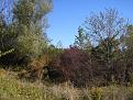 Clicca sull'immagine per ingrandirla.&nbsp;

Nome:   covo2.jpg&nbsp;
Visite: 556&nbsp;
Dimensione: 54.9 KB&nbsp;
ID: 2123858