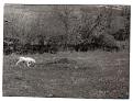 Clicca sull'immagine per ingrandirla.&nbsp;

Nome:   bodo dell'adige in ferma.jpg&nbsp;
Visite: 507&nbsp;
Dimensione: 56.2 KB&nbsp;
ID: 2124228