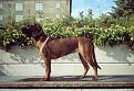 Clicca sull'immagine per ingrandirla.&nbsp;

Nome:   frida di serena 1.jpg&nbsp;
Visite: 965&nbsp;
Dimensione: 78.1 KB&nbsp;
ID: 2125629