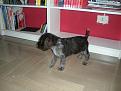 Clicca sull'immagine per ingrandirla. 

Nome:   DSCN3955.jpg 
Visite: 521 
Dimensione: 54.5 KB 
ID: 2126648