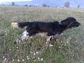 Clicca sull'immagine per ingrandirla. 

Nome:   09022009535.jpg 
Visite: 748 
Dimensione: 62.6 KB 
ID: 2127292