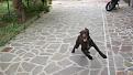 Clicca sull'immagine per ingrandirla. 

Nome:   Immagine 036.jpg 
Visite: 379 
Dimensione: 56.0 KB 
ID: 2133886